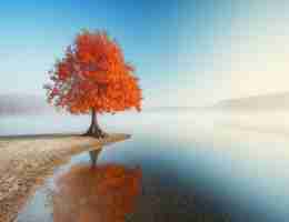 脚‍本‍分‍镜﻿头‍设﻿计‍步‍骤﻿